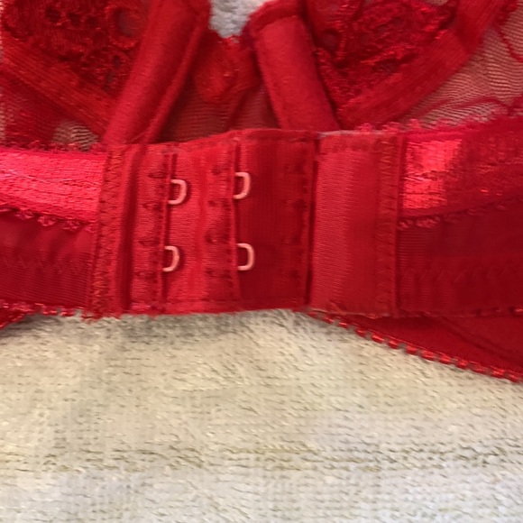 Sheer Red Underwire Bra from Felina Lingerie - Picture 5 of 6